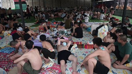 Myanmar scam centre workers plead to go home after 'escaping hell'