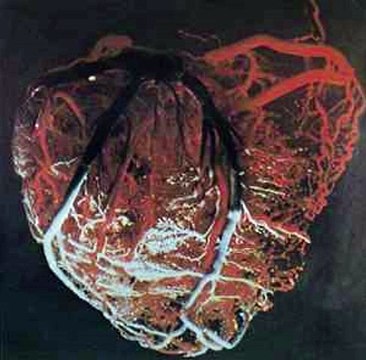 Aorta – Aorta : Psychedelic Rock, Prog Rock, Symphonic RockYear:1969