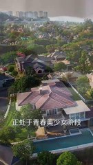 🔥 最新短剧合集：陈刚 & 厉蔺菲主演《我的失忆新娘》