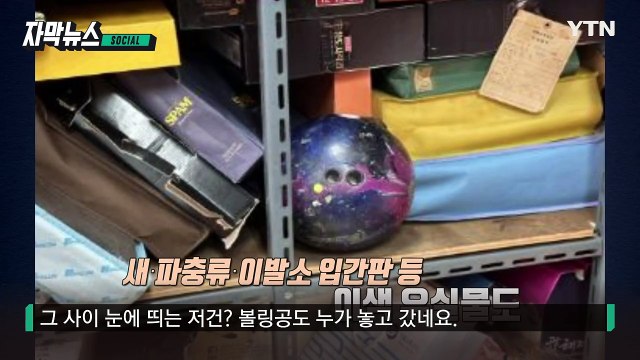 [자막뉴스] 파충류부터 금두꺼비까지...없는 게 없는 유실물센터 / YTN