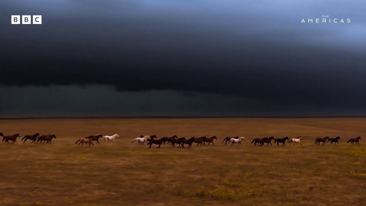 The Americas Trailer OV