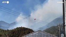 Incendio boschivo nel nord del Giappone, almeno un morto