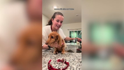 Hilarious Pup Drama: Watch This Little One Refuse a Bath 🛁