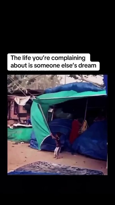 Dream life