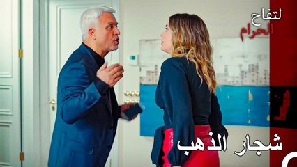 هدية الذهب الصغيرة قرار، والمزيد منها هو خسارة - التفاح الحرام الحلقة ال 111