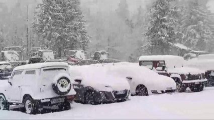 Abetone, è un buongiorno bianco: la super nevicata e le previsioni