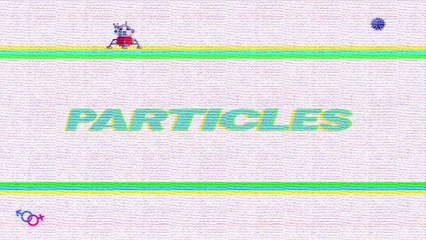 How Do Spiders Capture Big Prey?