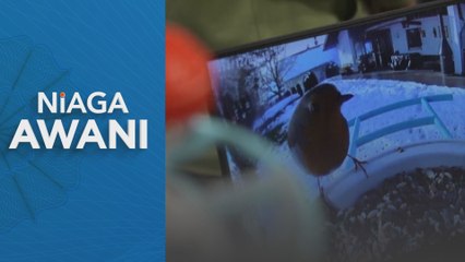 Garis panduan AI: Semak berkala, pastikan relevan