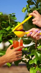 Le secret d'un jardin luxuriant : Les conseils d'experts dont vous avez besoin !