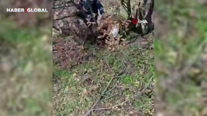 Kafasında bidon ile günlerce bekleyen köpeğin içler acısı hali