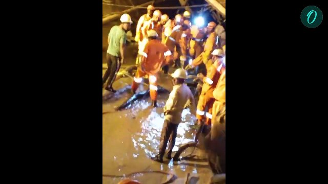 Telangana Tunnel Collapse| Telangana SLBC Tunnel-এ আটকে ৮ শ্রমিক! উদ্ধারকাজ চললেও বাড়ছে উদ্বেগ