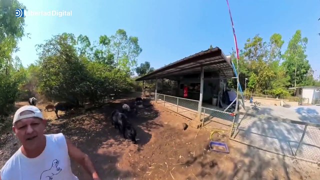 La Policía tailandesa detiene a Frank Cuesta por posesión ilegal de especies protegidas