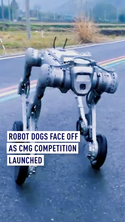Robot dogs face off as face off CMG competition launched