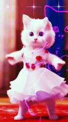 Entertainment funny video cartoon  cdrama chinesedrama cat dancing cat  #Footballfrenzo2