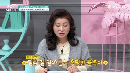 ※이해 불가※ 새벽 내내 화장실을 찾는 금쪽이?!