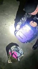 Mulher é presa com 19 kg de maconha na Rodoviária de Curitiba