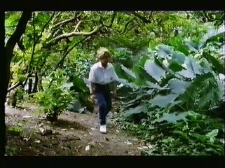 Cy Warrior 1989 VHSRip
