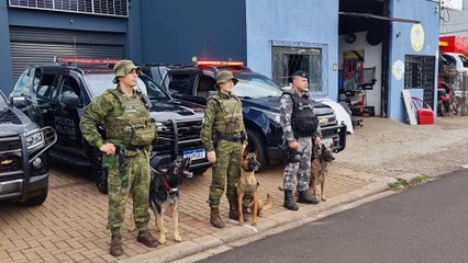 Operação Canis Fortis: Canis de Cascavel se unem para o combate ao tráfico