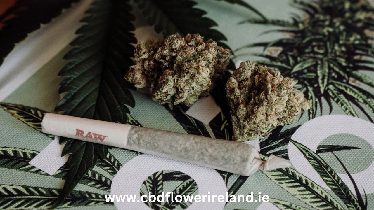 cbd flower Ireland