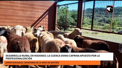 Desarrollo rural en Misiones La Cuenca Ovino Caprina apuesta por la profesionalización
