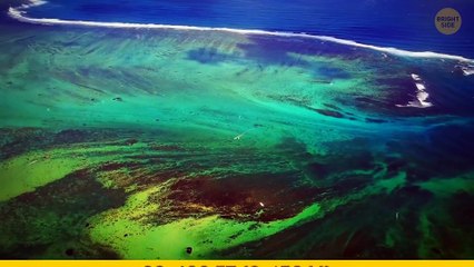 Monster Disclosure: Uncovering the Strangest Mysteries on Earth