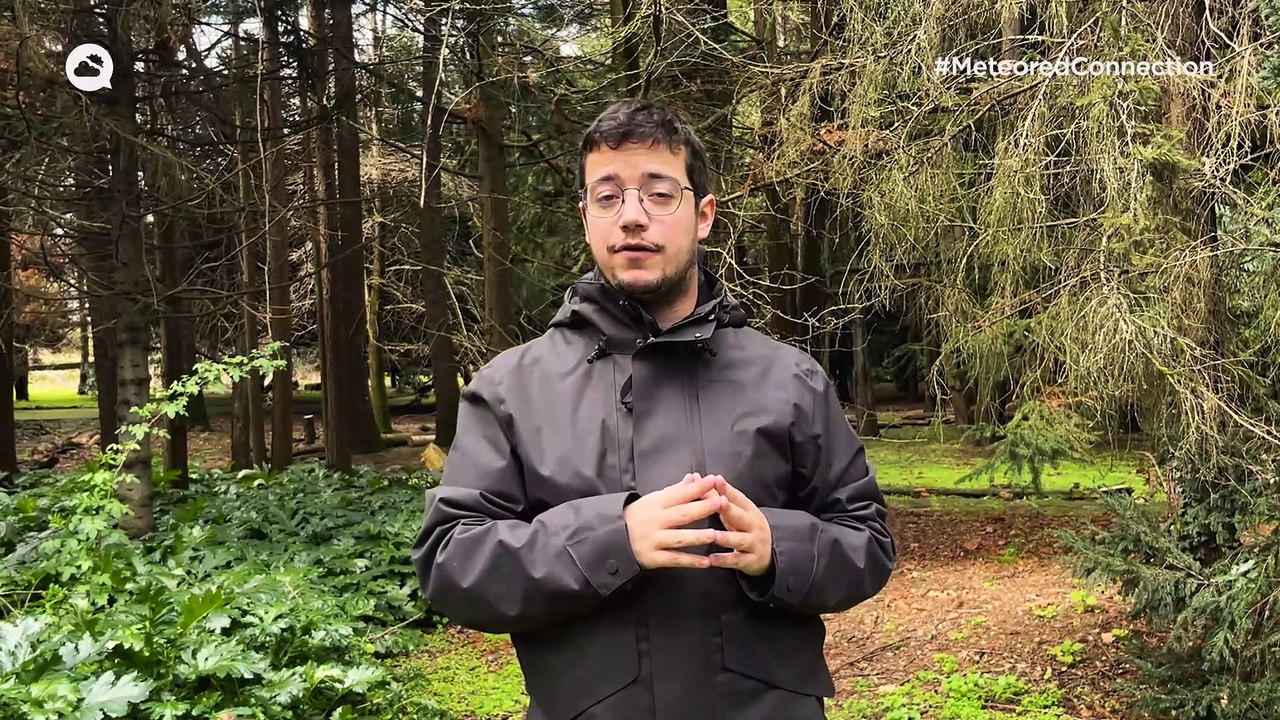 Até terça prevê-se chuva, vento, neve e trovoada em Portugal: eis as zonas mais afetadas este Carnaval