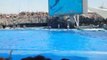 aquario de nagoya