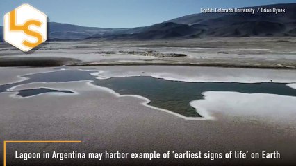 Discovery Of Lagoon In Argentina That Could Provide 'Earliest Signs Of Life' On Earth