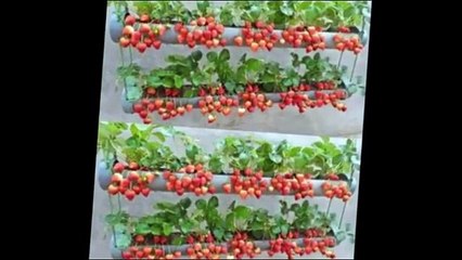 31.- 🌻🌾🍓+80 HUERTOSpequeños FAMILIARES PARA TU CASA( Huertos familiares PEQUEños en CIUDAD Y campo)🍓🍃🌿