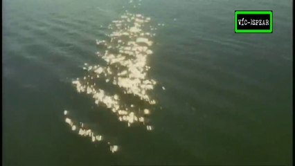 Viaje hacia de lo Desconocido: El Monstruo del Lago - Documental (1999) Español Latino *Ep8