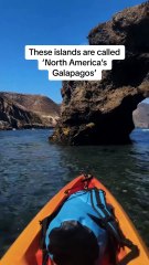 These Islands Are Called ‘North America’s Galapagos’