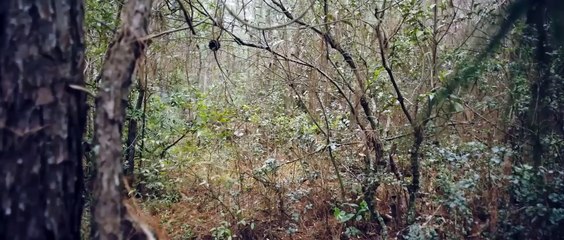 TẦM LONG KHẾ ƯỚC _ Phim Hành Động Chiếu Rạp Siêu Gay Cấn _ PHIM VÕ THUẬT 2024