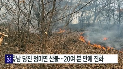 충남 당진 정미면 산불...20여 분 만에 진화 / YTN