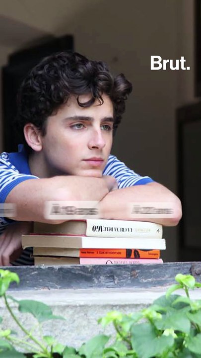 Une vie : Timothée Chalamet