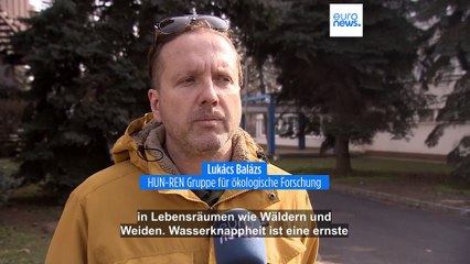 Was tun gegen Dürre? Ungarn sucht Böden zur Überflutung im Kampf gegen Klimakrise