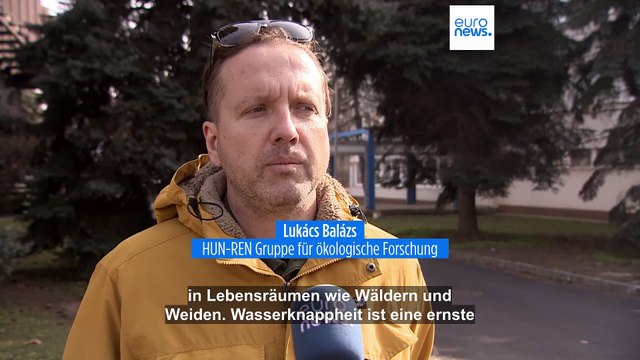 Was tun gegen Dürre? Ungarn sucht Böden zur Überflutung im Kampf gegen Klimakrise