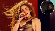 Falcao y Lorelei no se perdieron el concierto de Shakira en El Campín: así vivieron el show
