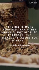 The Catholic Symbolism Behind Bees