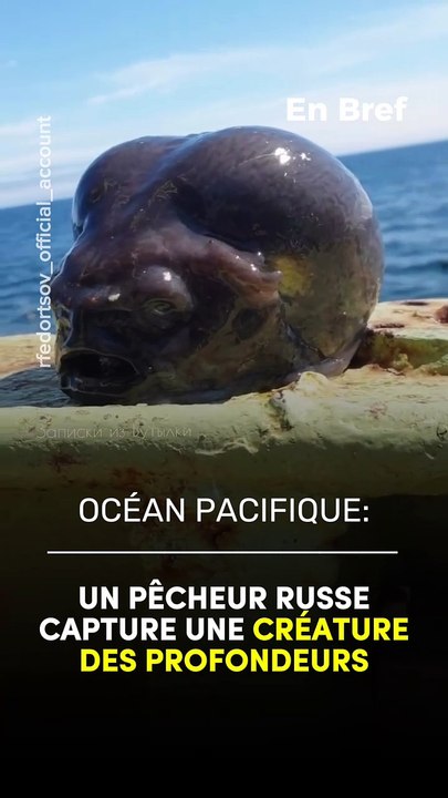 Un pêcheur russe capture une créature des profondeurs