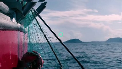 Le mystère du béluga espion - Bande annonce