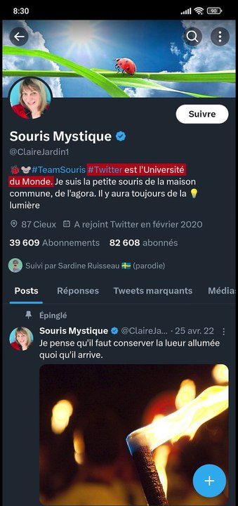 Notre Dame Michelle Obama