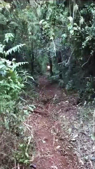 Quand tu montes une pente très raide à moto... FAIL