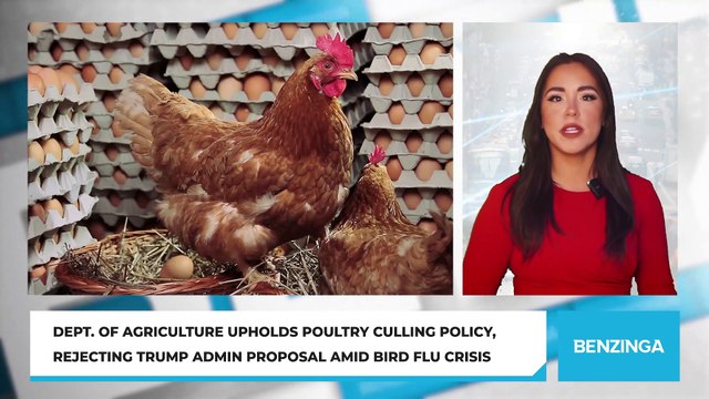 Dept. Of Agriculture Upholds Poultry Culling Policy, Rejecting Trump Admin Proposal Amid Bird Flu Crisis