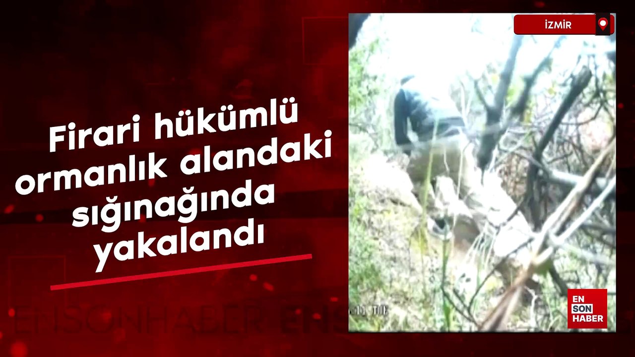 İzmir'de firari hükümlü ormanlık alandaki sığınağında yakalandı