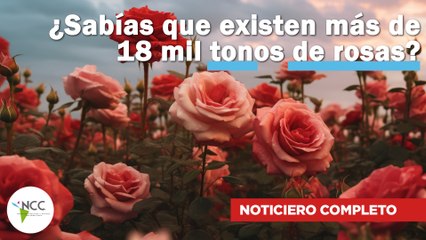 ¿Sabías que existen más de 18 mil tonos de rosas? | 738 | 03 al 09 de marzo de 2025