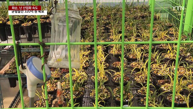 화순, 전국 첫 '난 산업화 단지' 조성 사업 본격화 / YTN