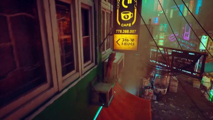 Things You Need to Know About Stray