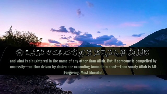 Surah An-Nahl soothing recitation #ahmedisteyaque #quranrecitation #surahannahl