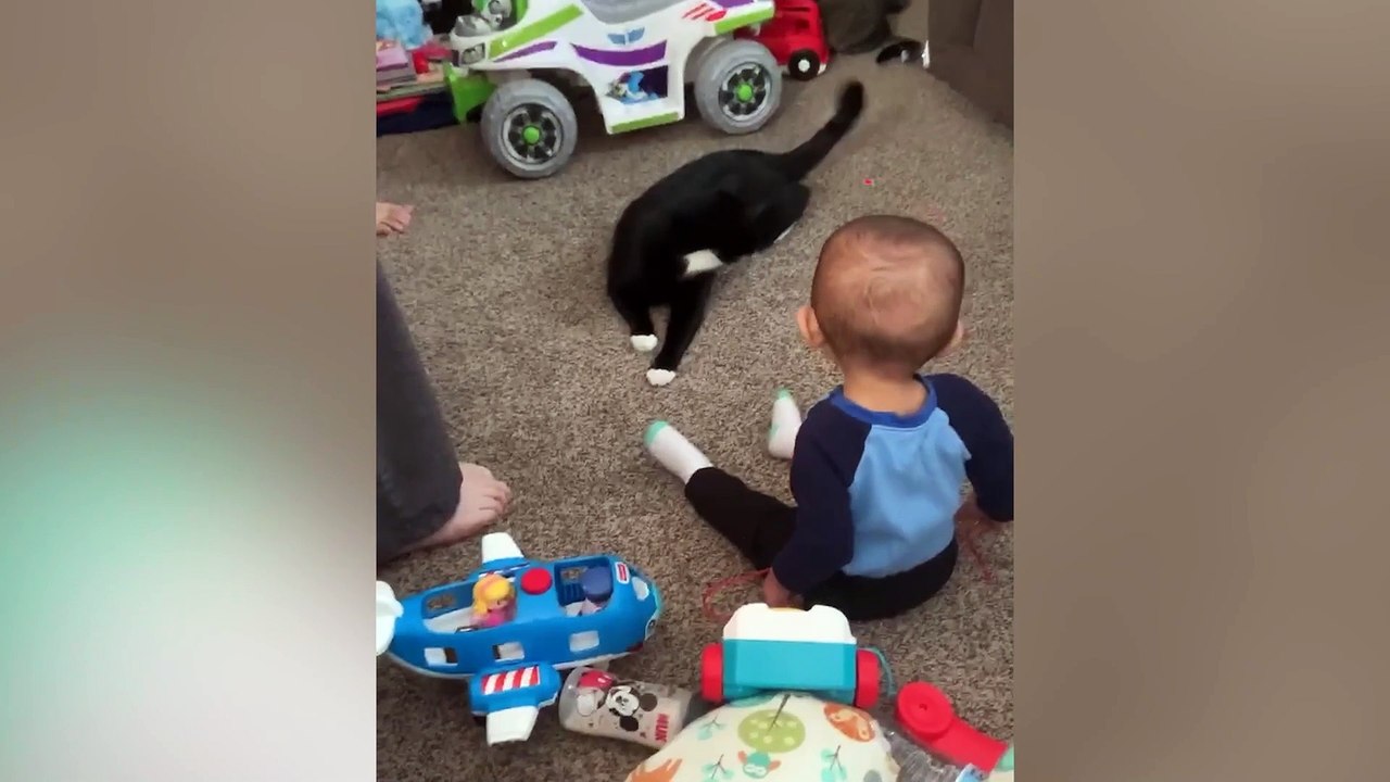 Kitty Kids
