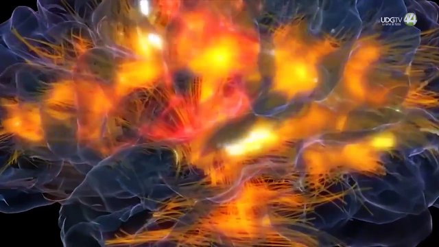 Adicciones y daño al cerebro por las drogas, bajo análisis en el CUTonalá